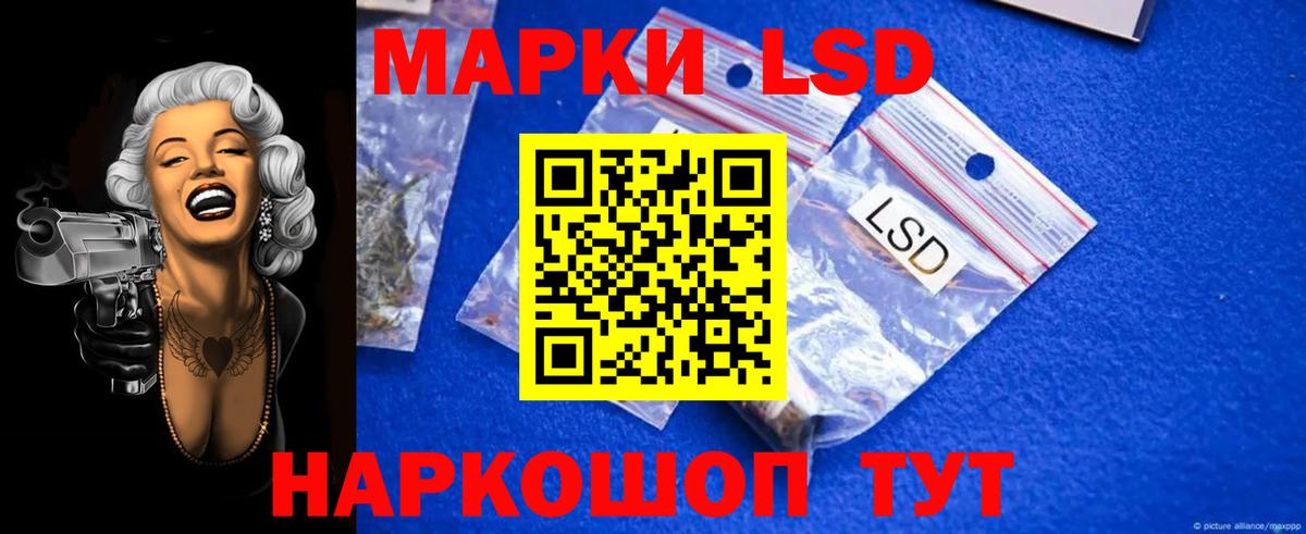 Новосибирск  Лсд 25 экстази ecstasy  Вход с VPN  Лсд 25 экстази ecstasy 