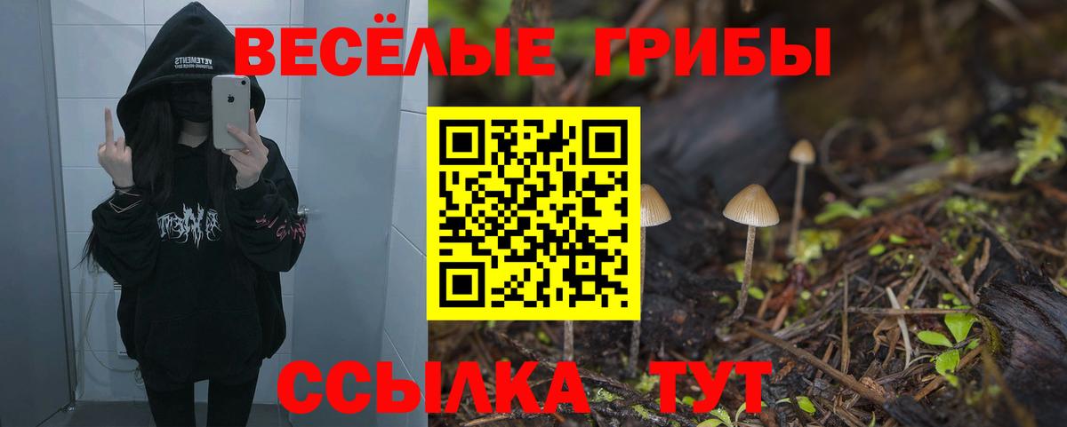 Псилоцибиновые грибы ЛСД  Вход с VPN  магазин  наркотиков  Новосибирск  Галлюциногенные грибы мухоморы 